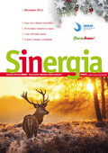 Sinergia