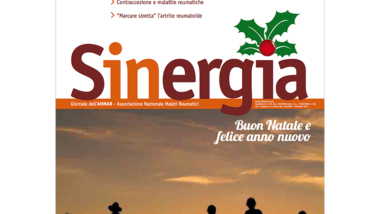 Sinergia – dicembre 2011