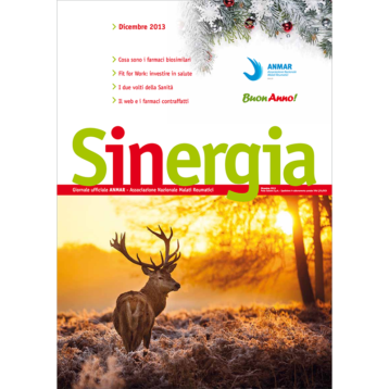 Sinergia – dicembre 2013