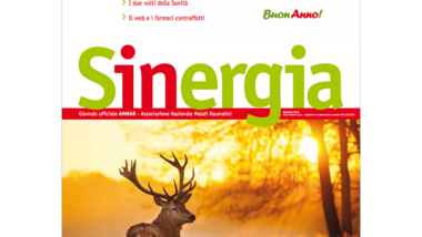 Sinergia – dicembre 2013