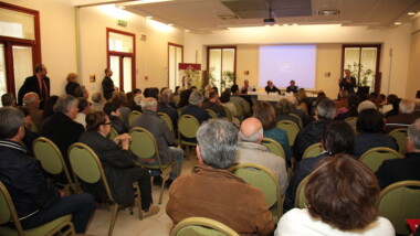 La Marijuana combatte le malattie autoimmuni